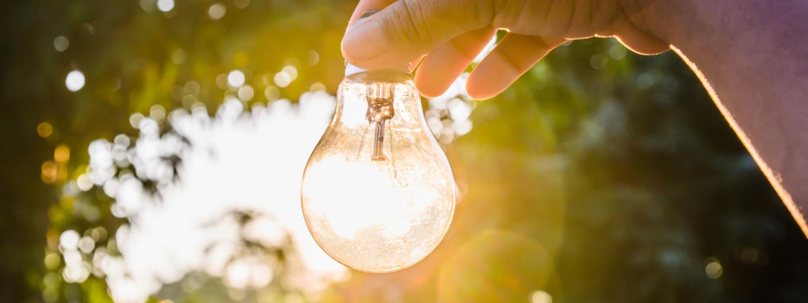 light bulb