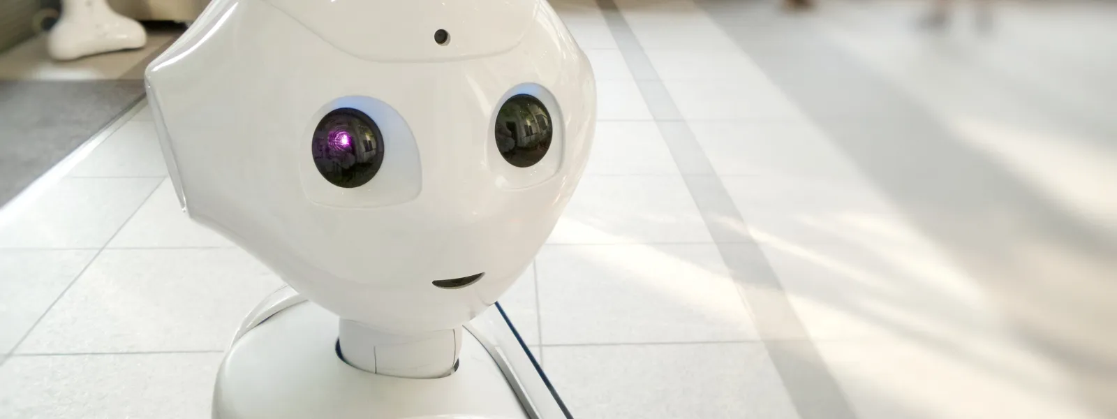 robot
