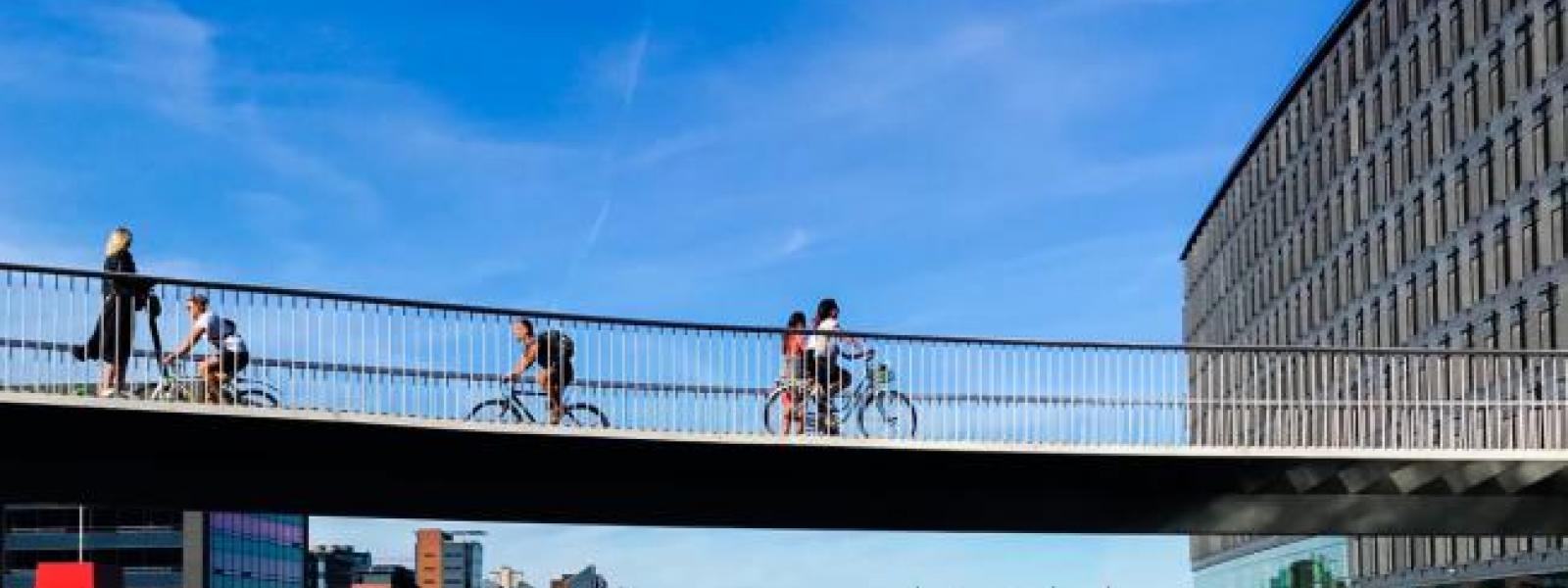 Bridge