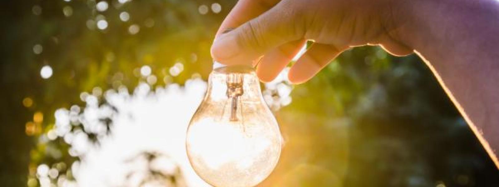 light bulb
