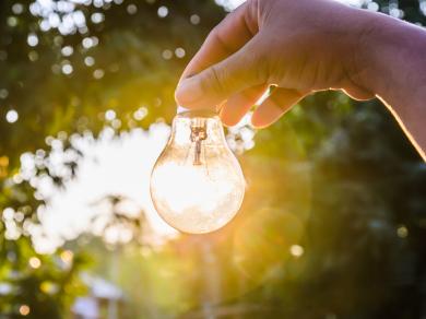 light bulb