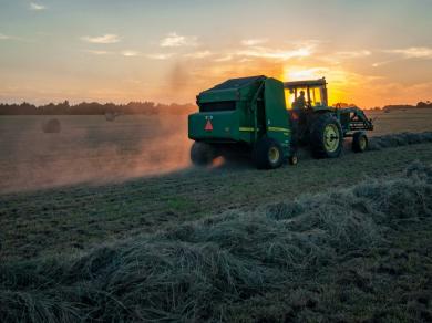 Fair working conditions in agriculture