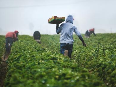 farmers