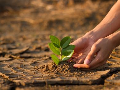 climate actions