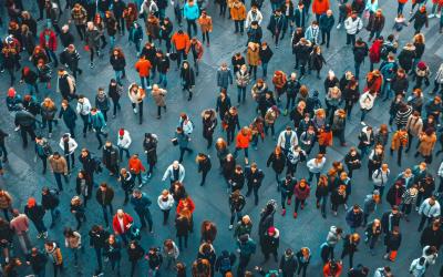 Crowd 